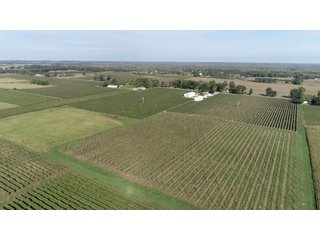 Van Buren County, Michigan Farmland - LAND AUCTION - 300+/- ACRES SPECIALTY CROP - GRAPES AND HOPS - OFFERED IN 8 TRACTS IN VAN BUREN COUNTY, MICHIGAN